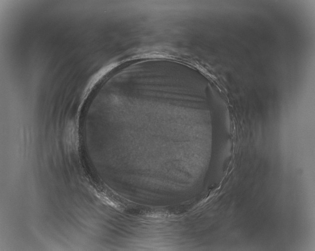 X0000080190200200701051731