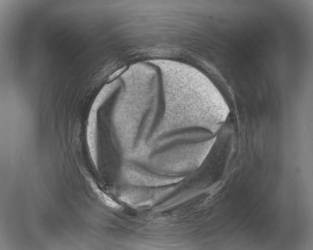 X0000080190201200701051731