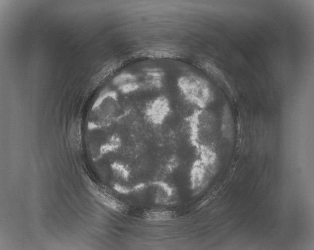 X0000080190202200701051731