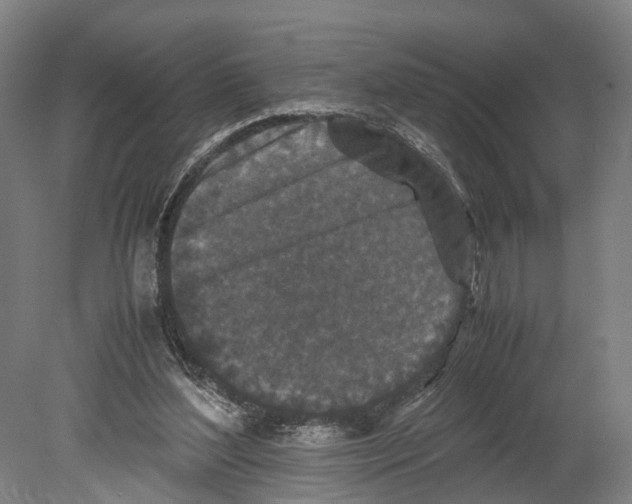 X0000080190204200701051731