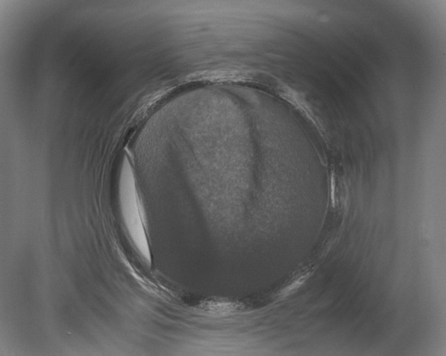 X0000080190205200701051731