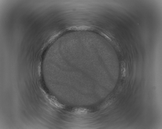 X0000080190206200701051731