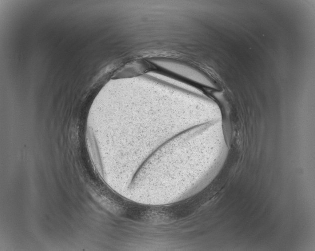 X0000080190207200701051731