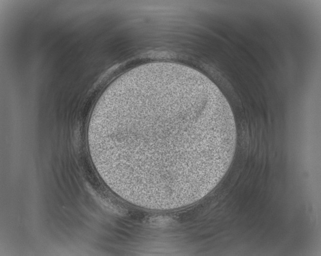 X0000080190208200701051731