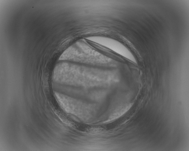 X0000080190209200701051731