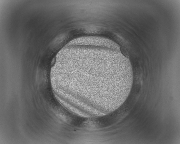 X0000080190211200701051731