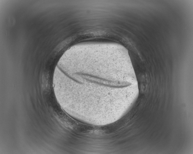 X0000080190212200701051731