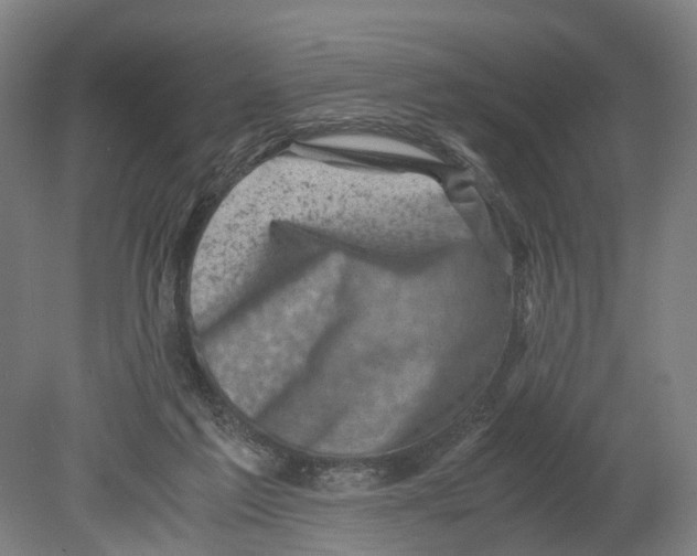 X0000080190213200701051731