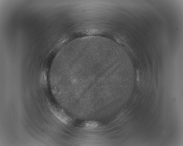 X0000080190214200701051731