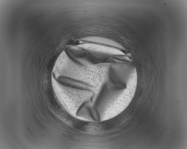 X0000080190215200701051731