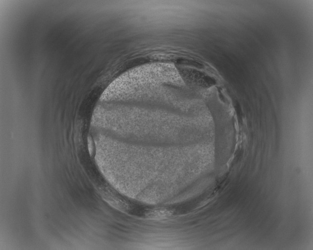 X0000080190217200701051731