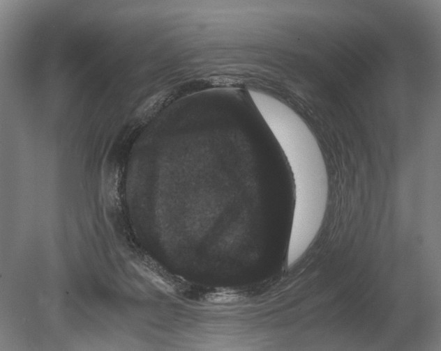 X0000080190219200701051731