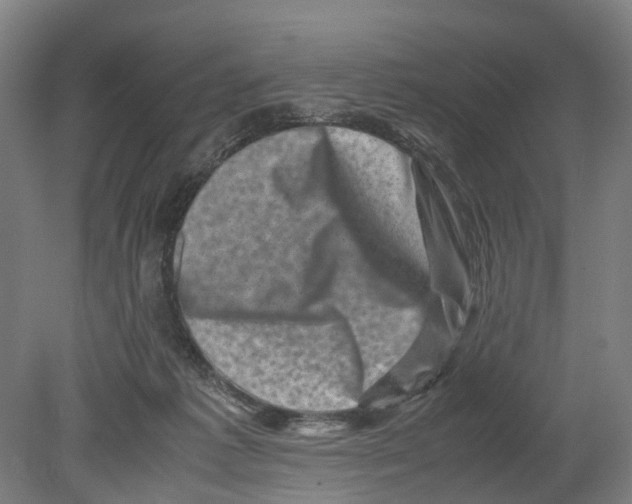 X0000080190221200701051731