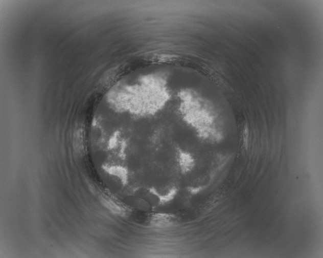 X0000080190222200701051731