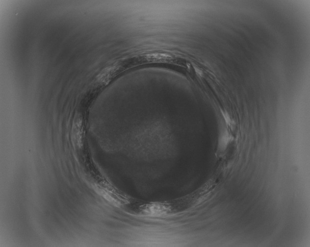 X0000080190223200701051731