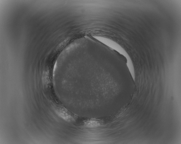 X0000080190224200701051731