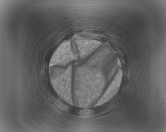 X0000080190225200701051731