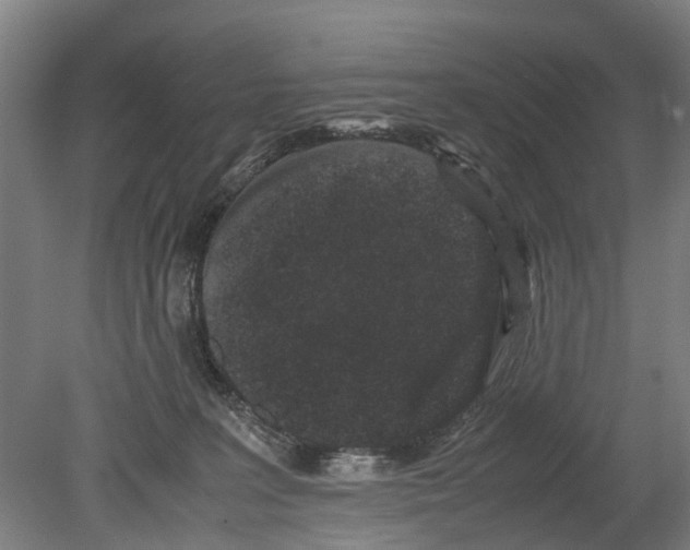 X0000080190227200701051731