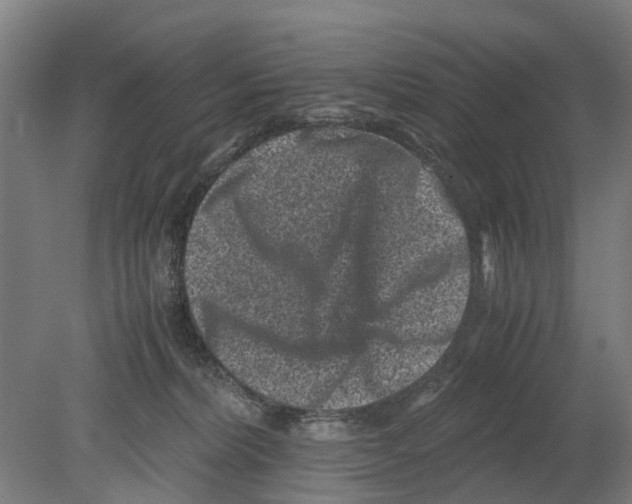 X0000080190228200701051731