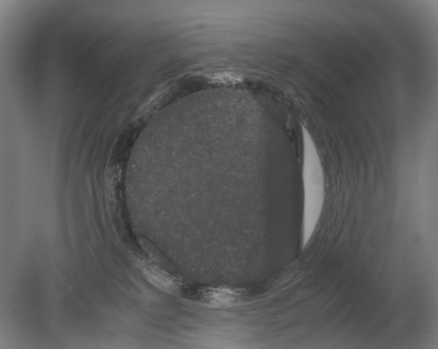 X0000080190229200701051731