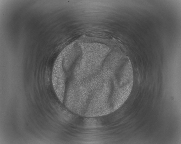 X0000080190230200701051731