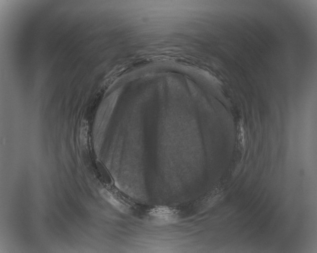 X0000080190231200701051731