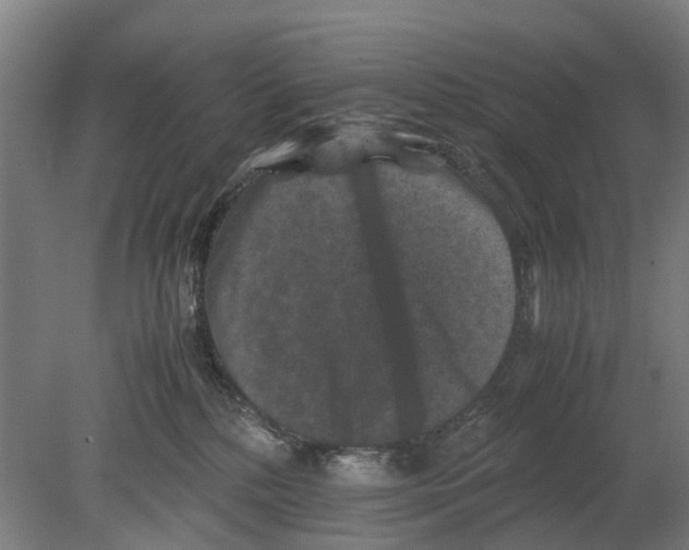 X0000080190232200701051731