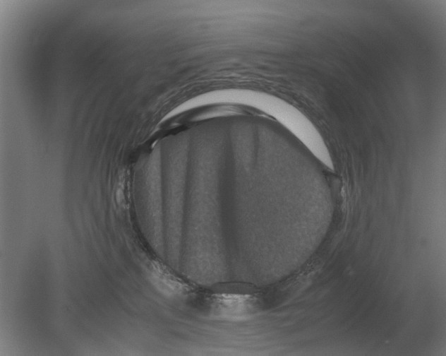 X0000080190233200701051731