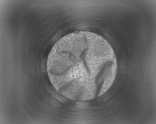 X0000080190234200701051731