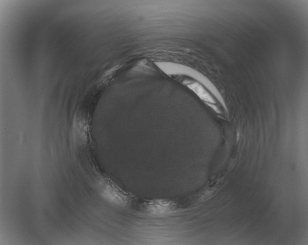 X0000080190235200701051731