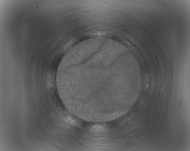 X0000080190236200701051731