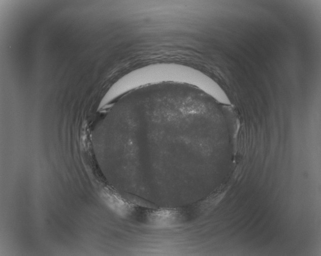 X0000080190237200701051731