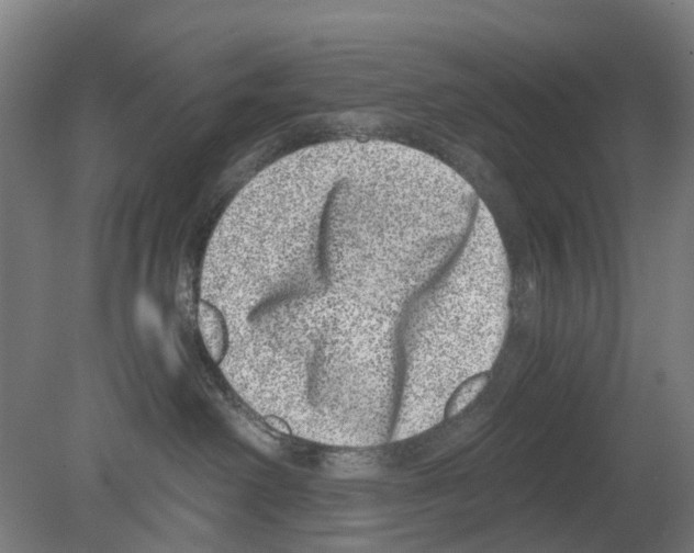 X0000080190238200701051731