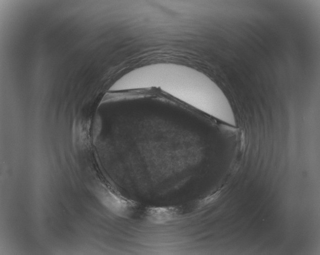 X0000080190239200701051731