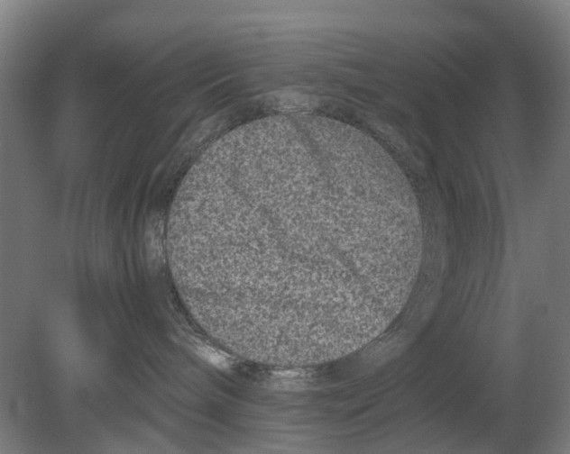 X0000080190240200701051731