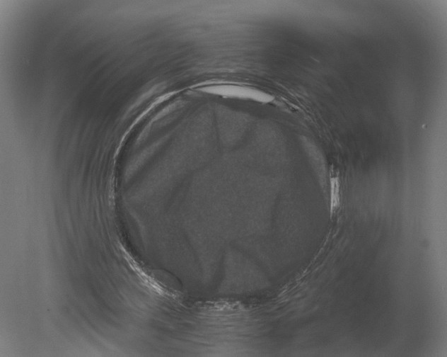 X0000080190243200701051730