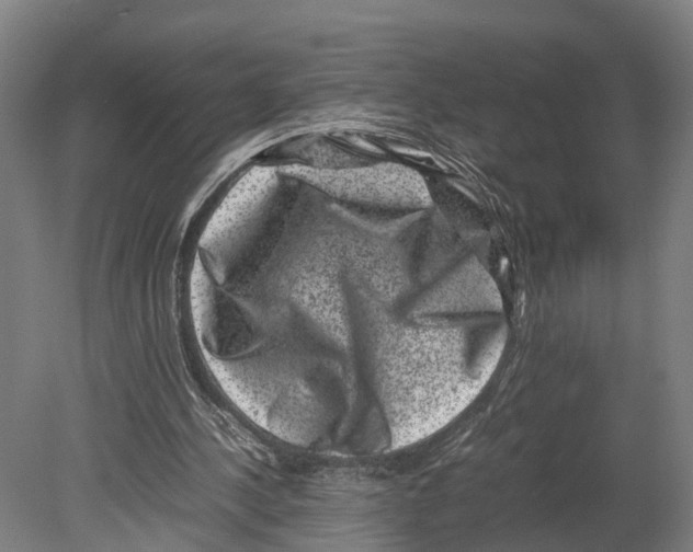 X0000080190244200701051730