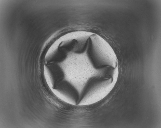 X0000080190246200701051730