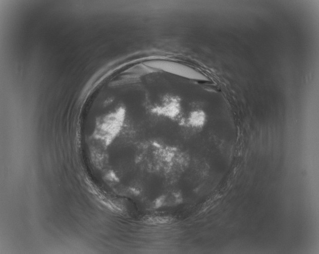 X0000080190247200701051730