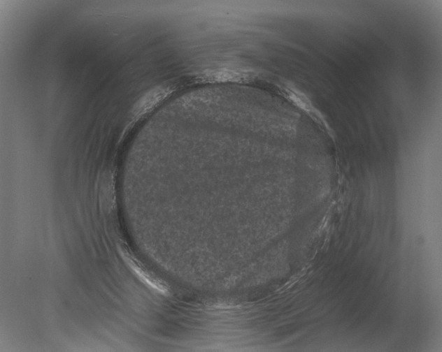 X0000080190250200701051730