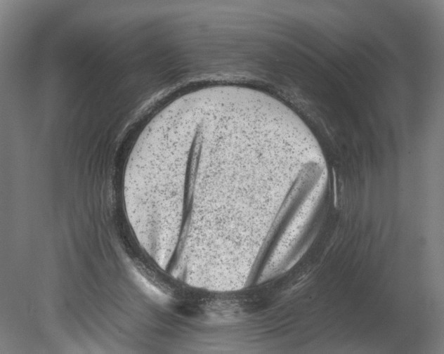 X0000080190252200701051730