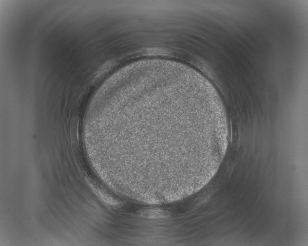 X0000080190253200701051730