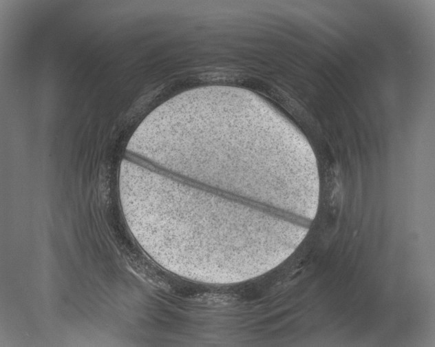 X0000080190255200701051730