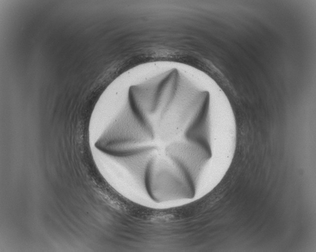 X0000080190257200701051730