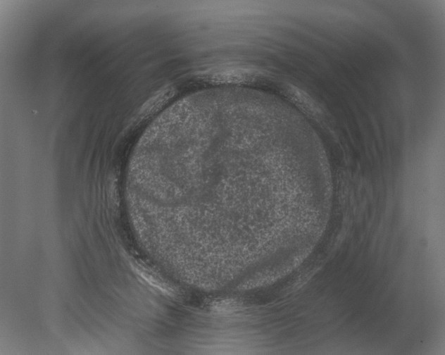 X0000080190258200701051730