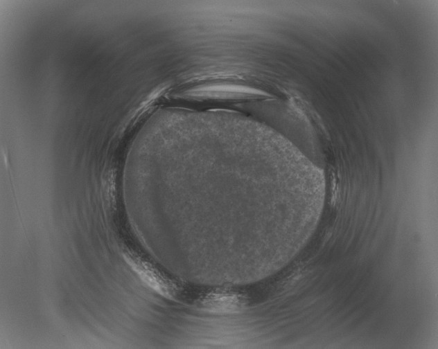 X0000080190260200701051730