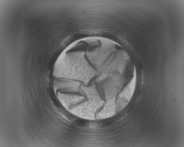 X0000080190264200701051730