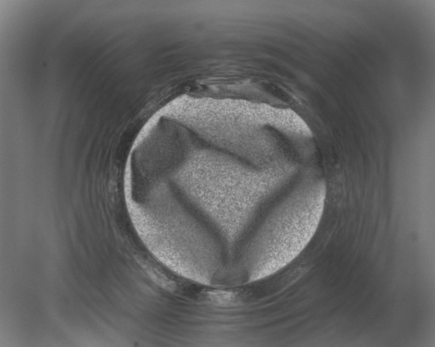 X0000080190265200701051730