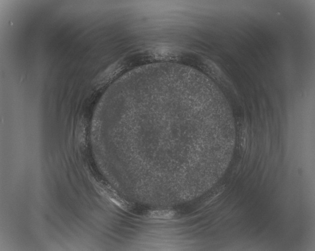 X0000080190266200701051730