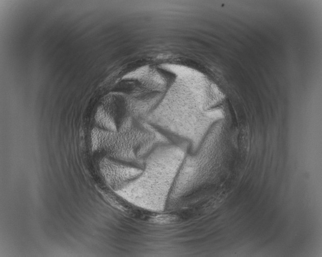 X0000080190269200701051730